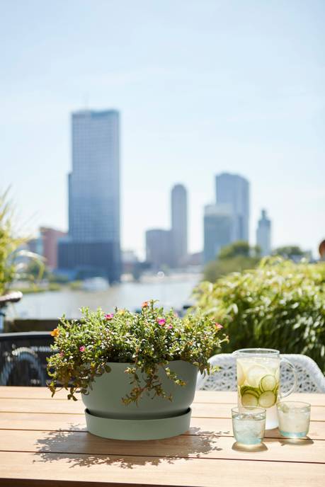 greenville bowl 33cm leaf green